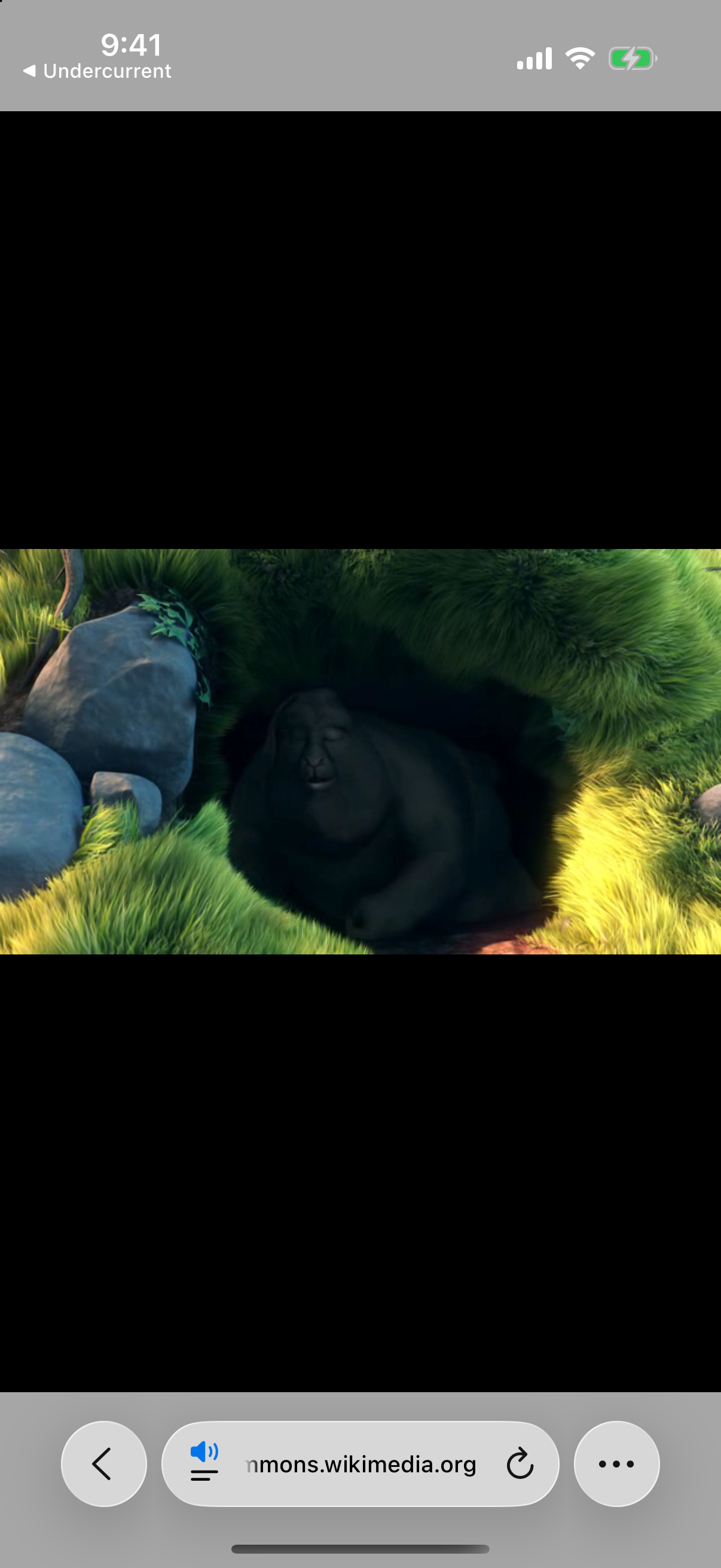 Safari playing a video on the same phone while Undercurrent continues underneath.