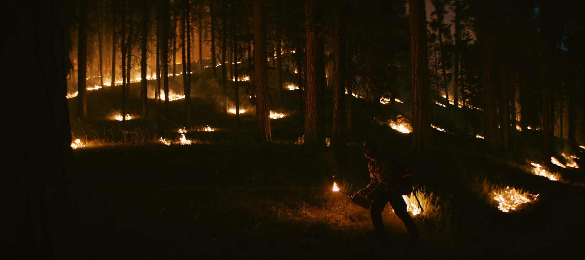 Rowe Creek Fire - "Burn II"