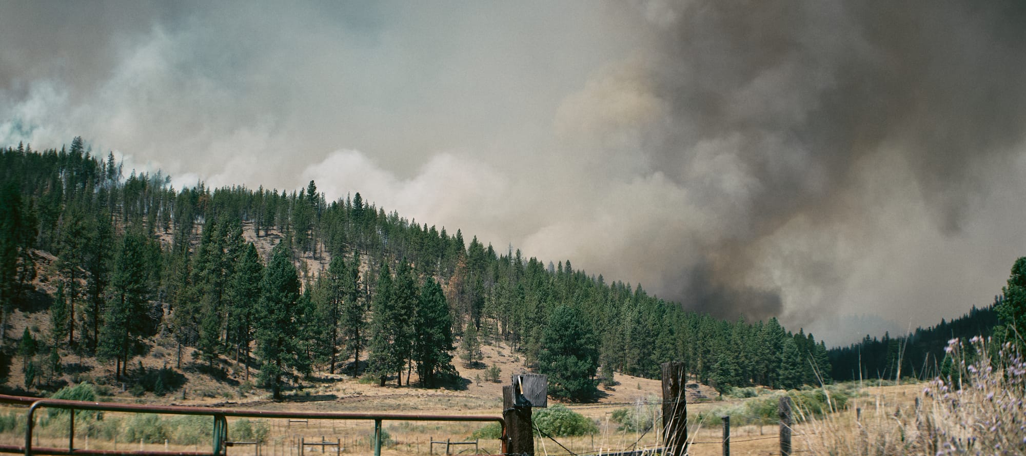 Rowe Creek Fire - "The Ochoco Nat'l Forest"