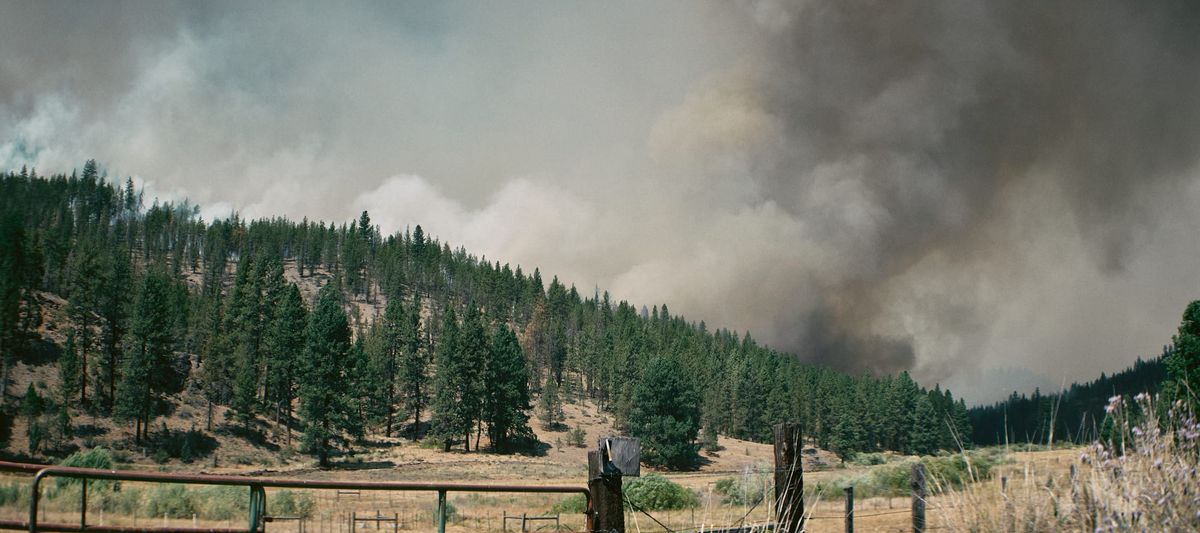 A smoke column rises over a pine-covered hill beyond a ranch fence and a dry meadow.