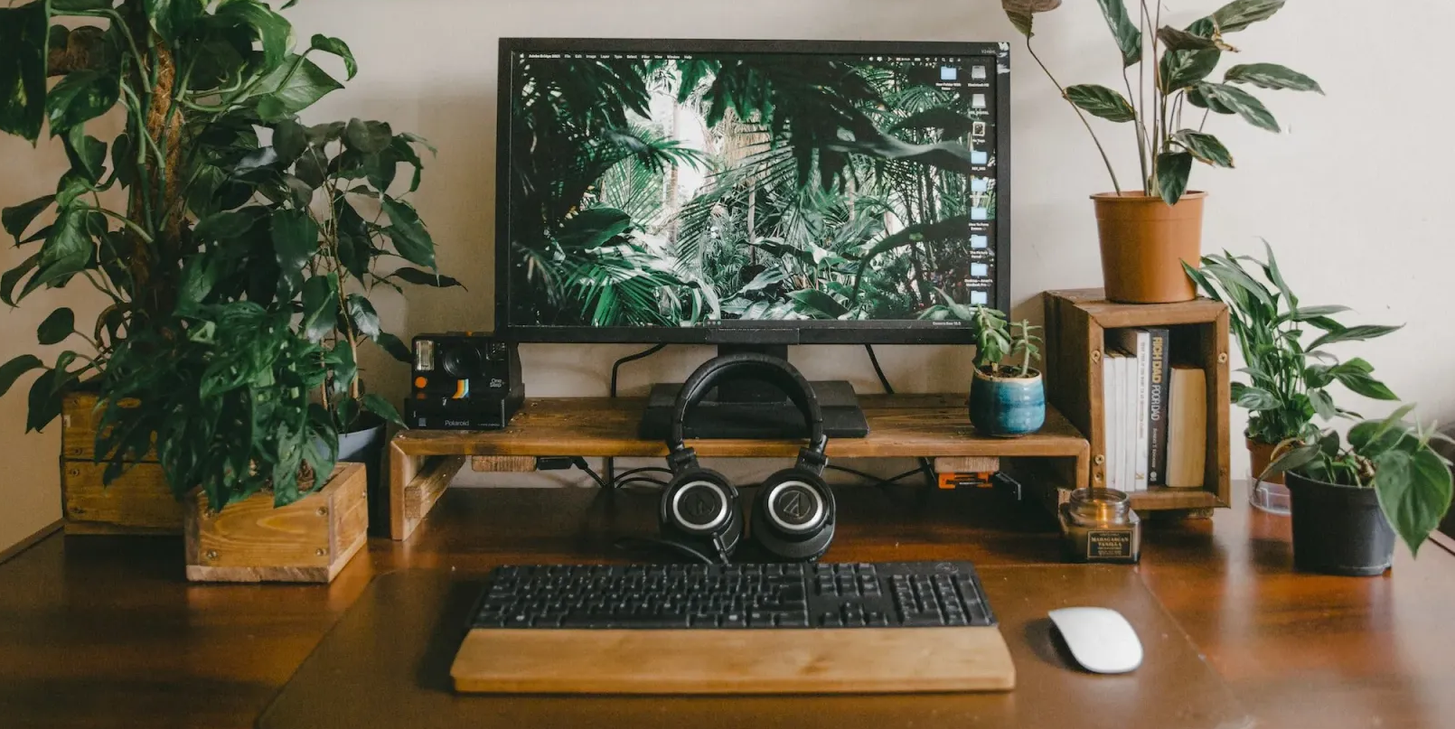 Plants, computer monitor, keyboard, headphones and mouse sitting on a wood desk with some books.