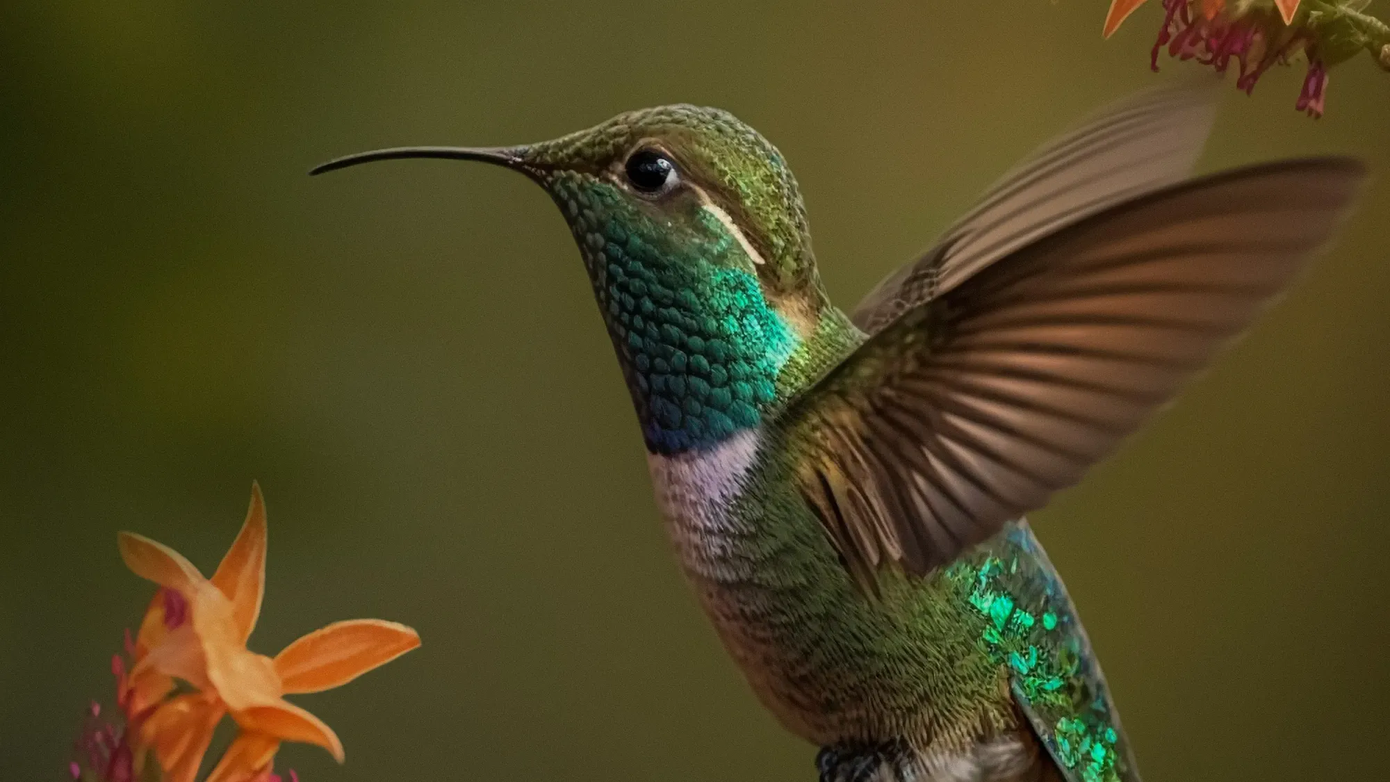 Selecting Photos to Elevate Your Website’s Appeal