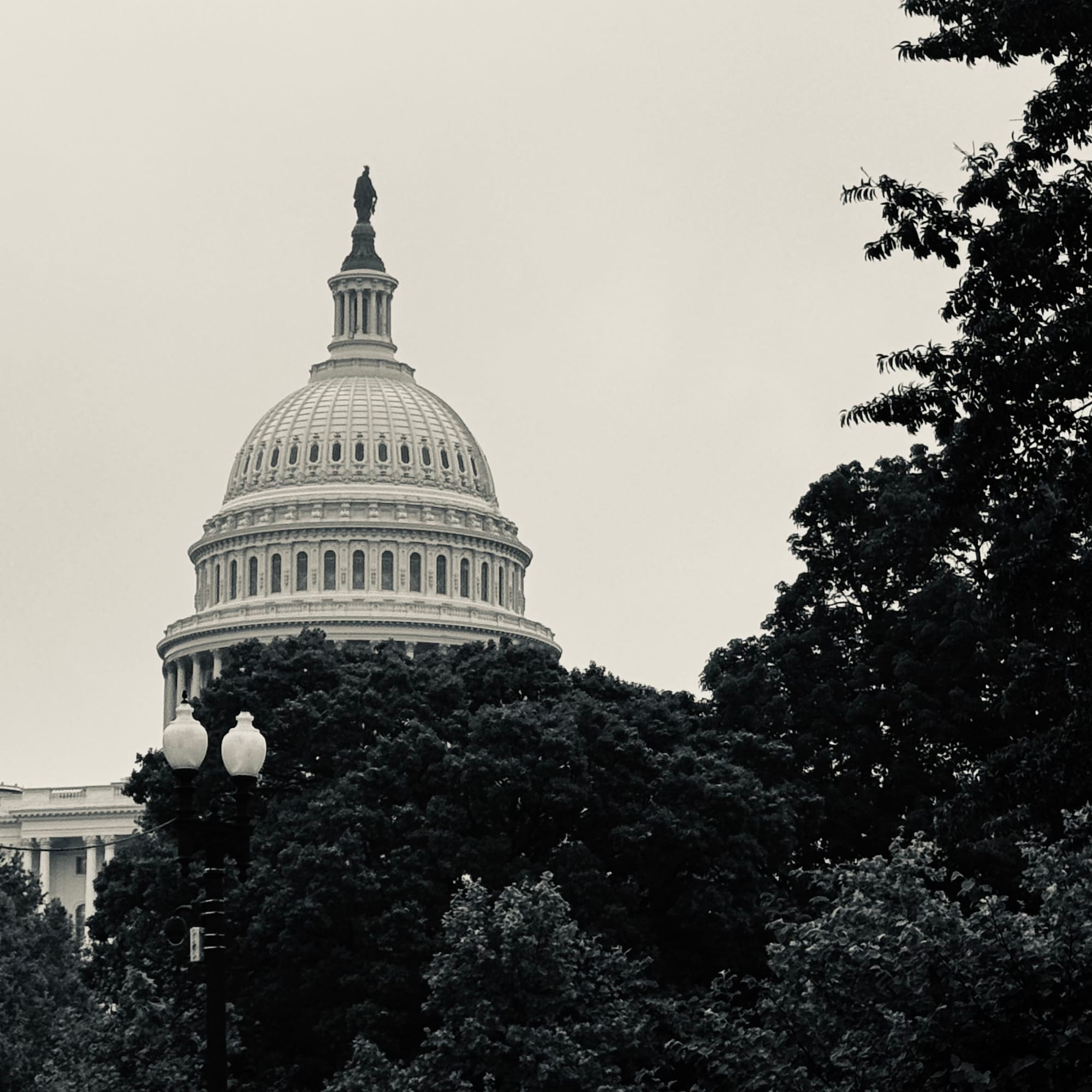 Black-and-white photo of the US Capitol dome above trees in the foreground, with cloudy skies.