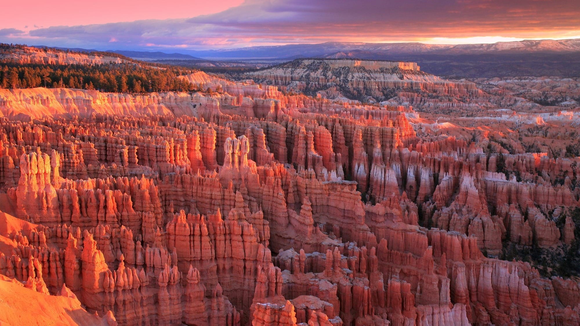 A rugged canyon of eroded red rock with mountains in the background.