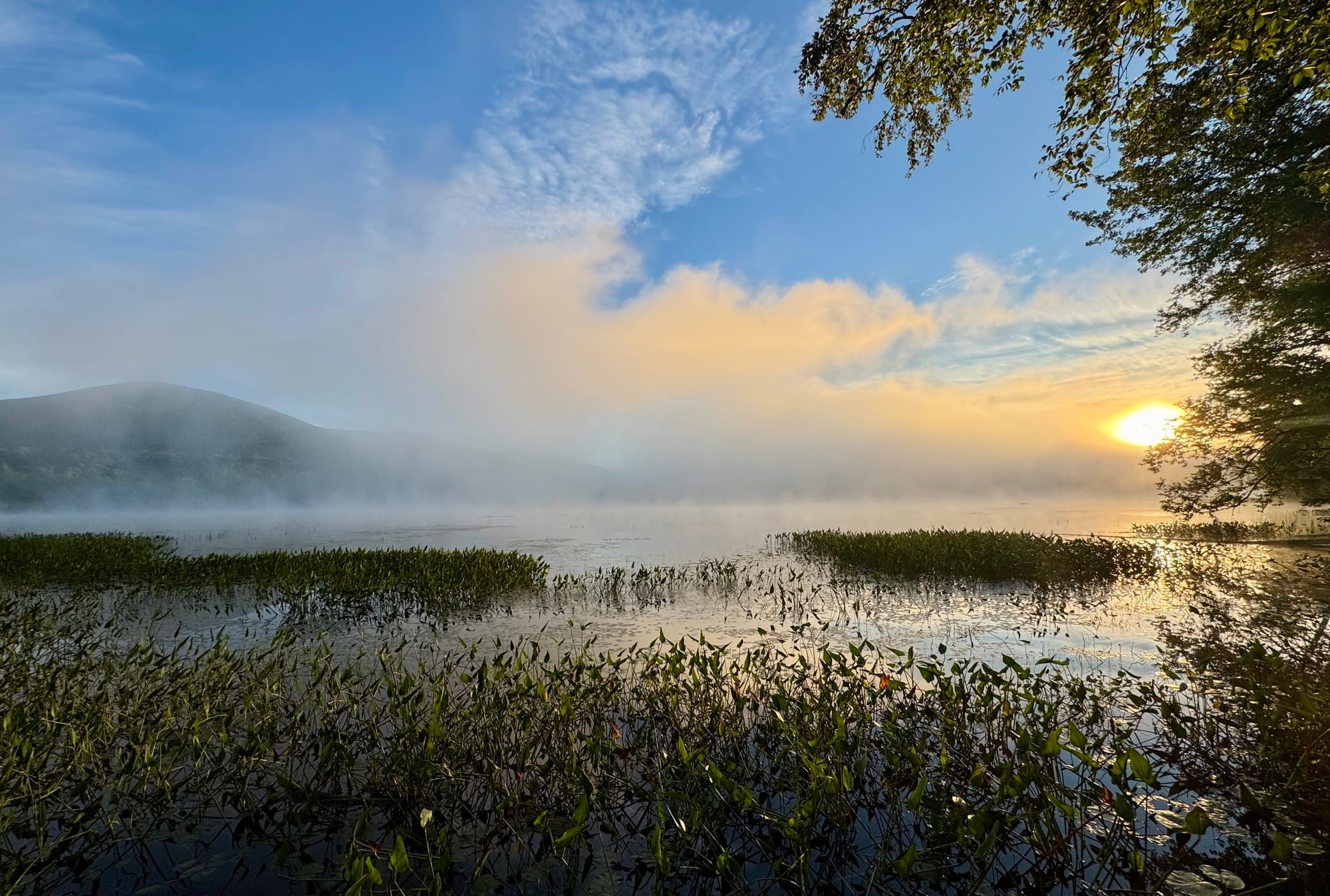 Sun rising over a misty pond with emergent vegetation in the foreground, a mountain peeking through the mist, and mostly clear skies above.