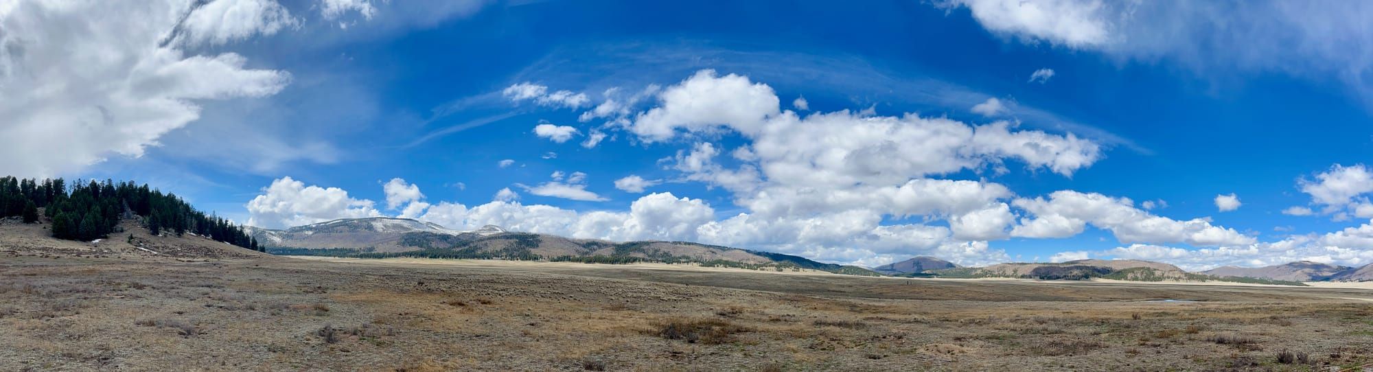 City Nature Challenge from Interior's lands and waters