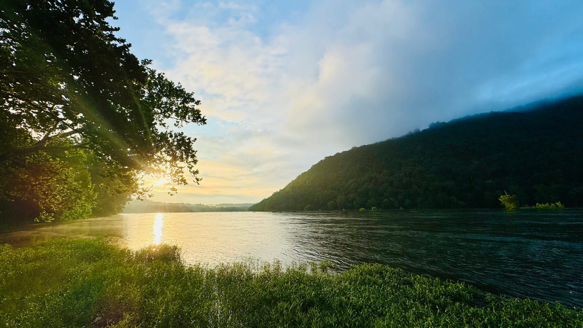 Sunrise through a tree on the bank of a river under partly cloudy skies, with a tree-covered mountain across the river.
