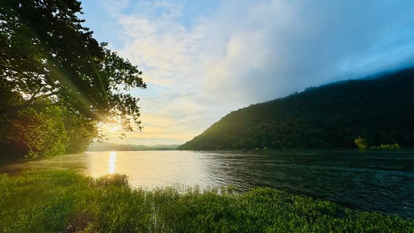 Sunrise through a tree on the bank of a river under partly cloudy skies, with a tree-covered mountain across the river.