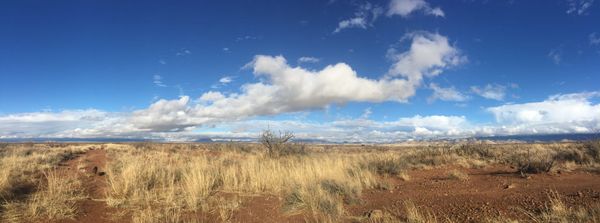 A desert grassland under partly cloudy skies.