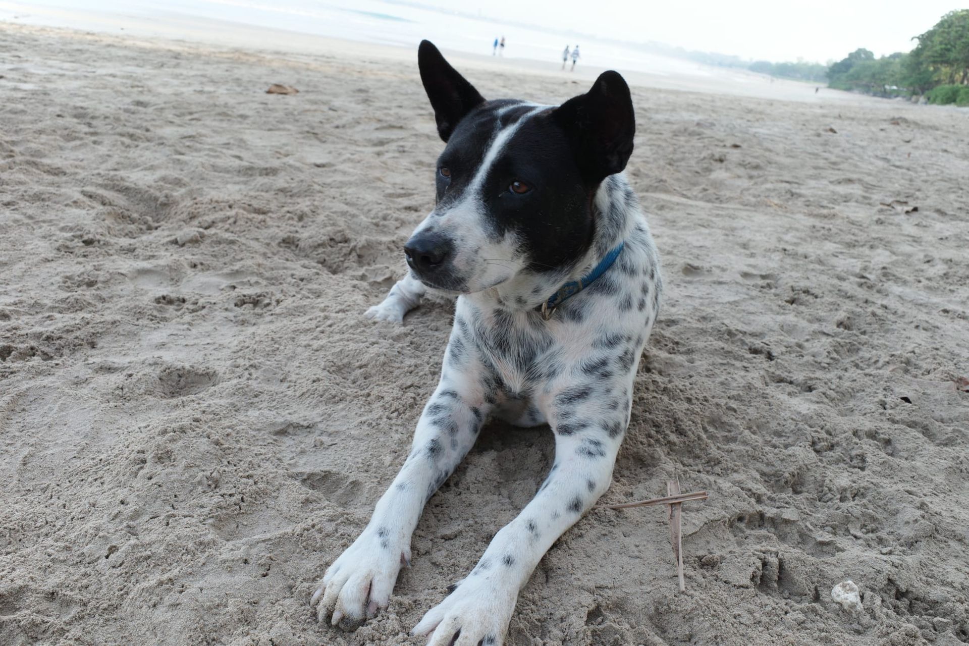 A Life Reminder In the Sand