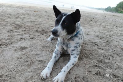 A Life Reminder In the Sand