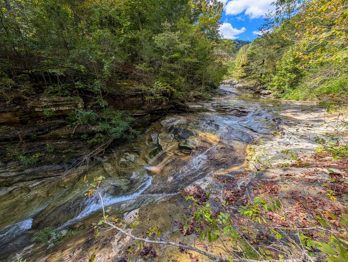 There's Treasure Inside