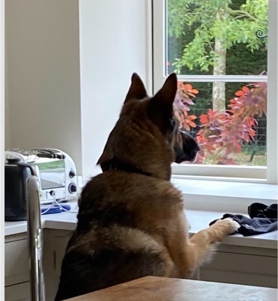 DataDog (DDOG) x The Death Of Software - NO PAYWALL