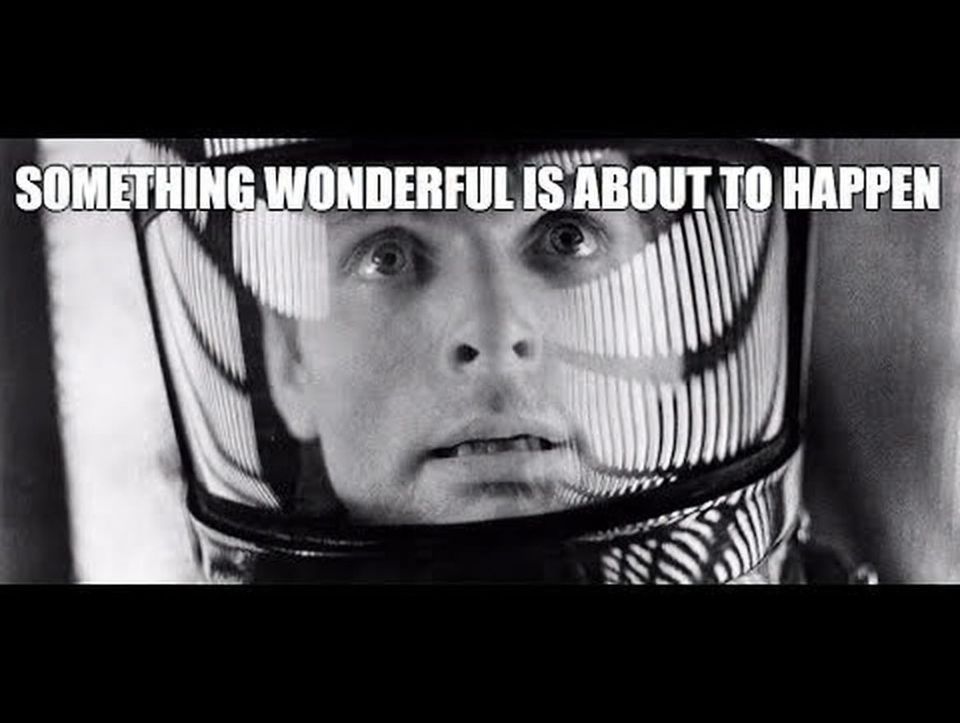 Is This A Market About To Crash?  The Cestrian Circle Newsletter