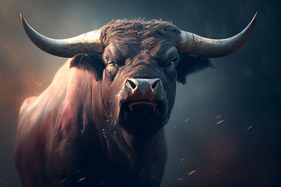 Outta The Way, Bears!!