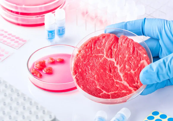 6 U.S. States Just Banned Lab-Grown Meat Amid Health and Safety Fears