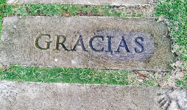 2 Stories Separated into Chapters..