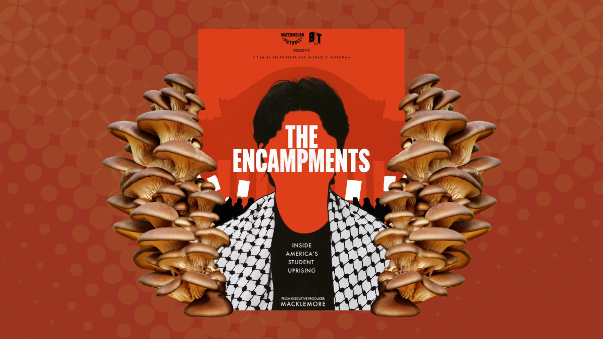 Collage of the poster for The Encampments, which shows an anonymous student wearing a keffiyeh around their shoulders, with the words "THE ENCAMPMENTS" across their face.