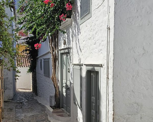 Where is Leonard Cohen's house?