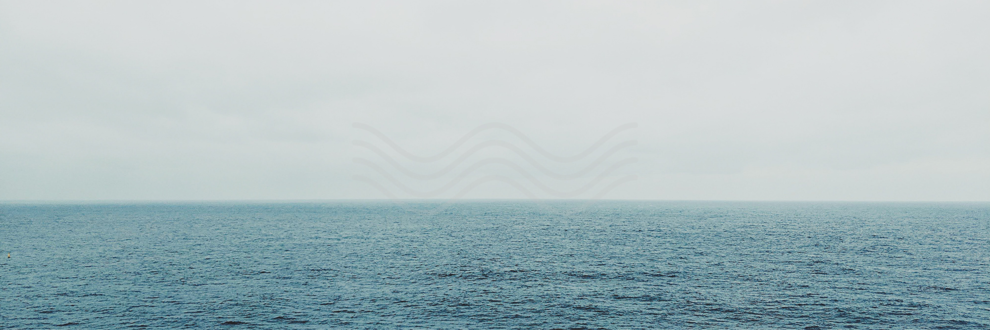 Decision Leadership Institute