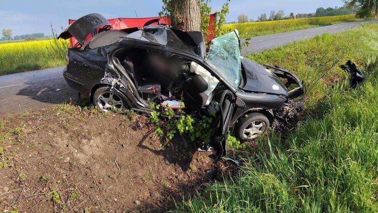 19-letnia kierująca Seatem straciła panowanie na łuku drogi i uderzyła w drzewo. Zginęła na miejscu Post feature image