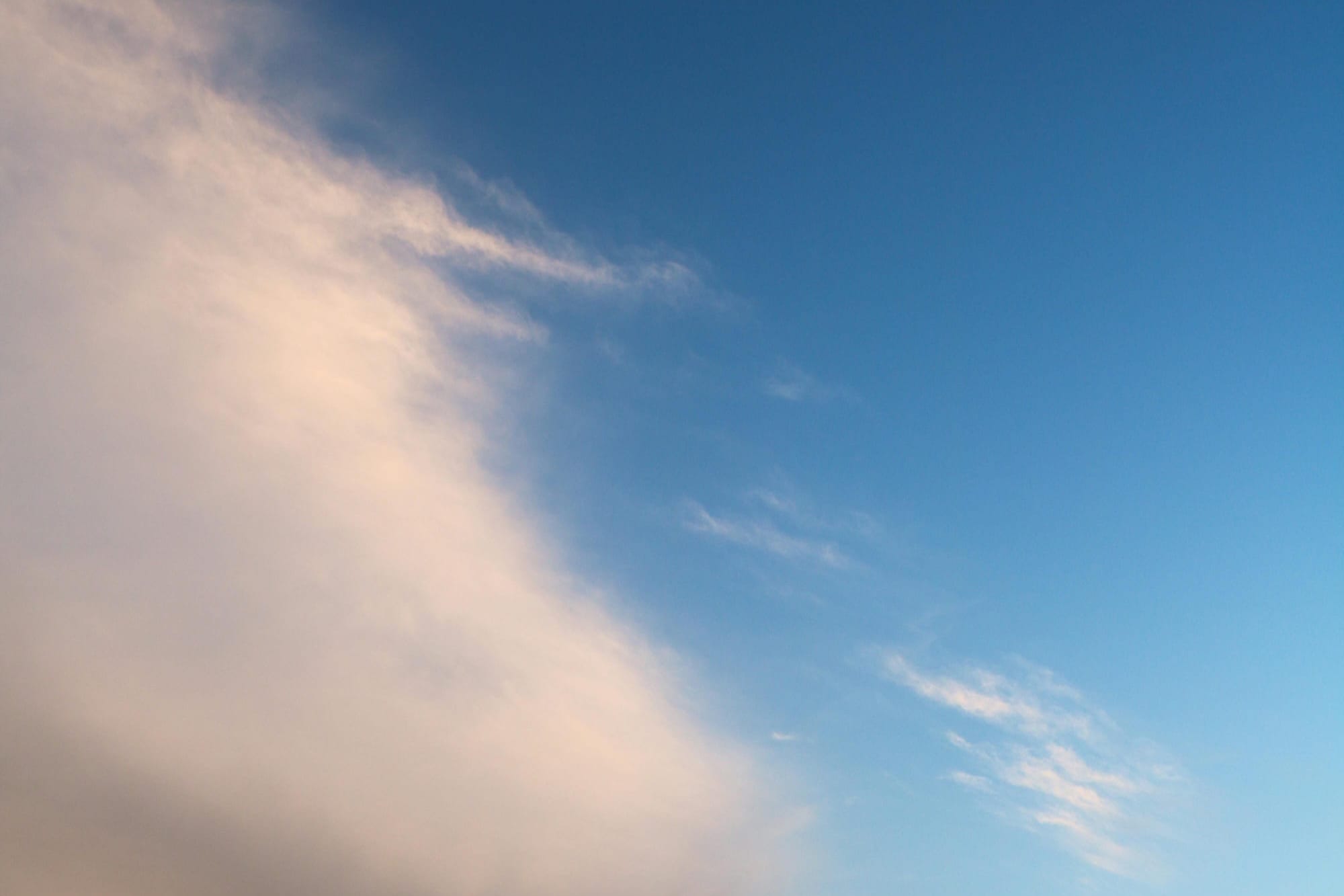 Living Will vs. Medical Power of Attorney: What's the Difference?