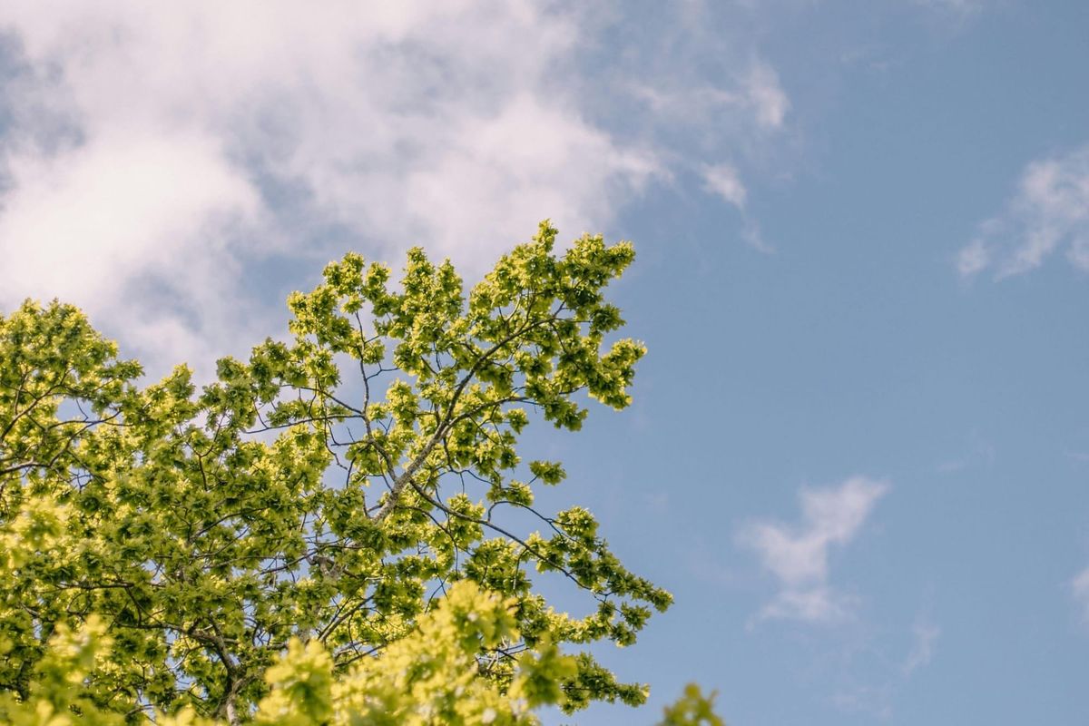 Estate Planning: Who Needs It, How to Get Started, and How to Avoid Common Mistakes