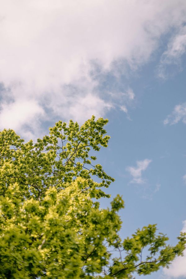 Estate Planning: Who Needs It, How to Get Started, and How to Avoid Common Mistakes