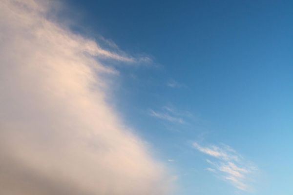 Living Will vs. Medical Power of Attorney: What's the Difference?