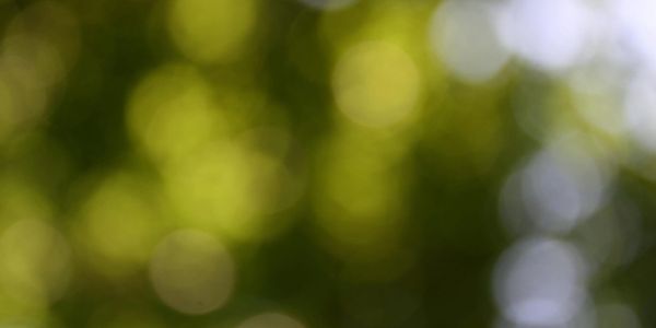 What To Do When Someone Dies: A Timeline For The First Weeks