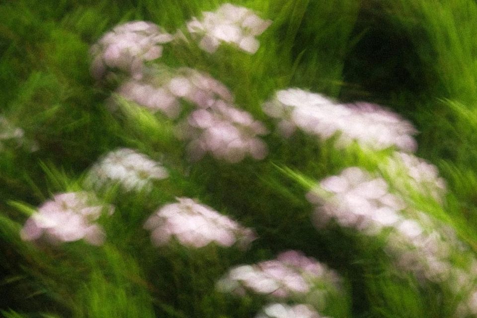 Power of Attorney:                    What It Is and Why Every Adult Needs One