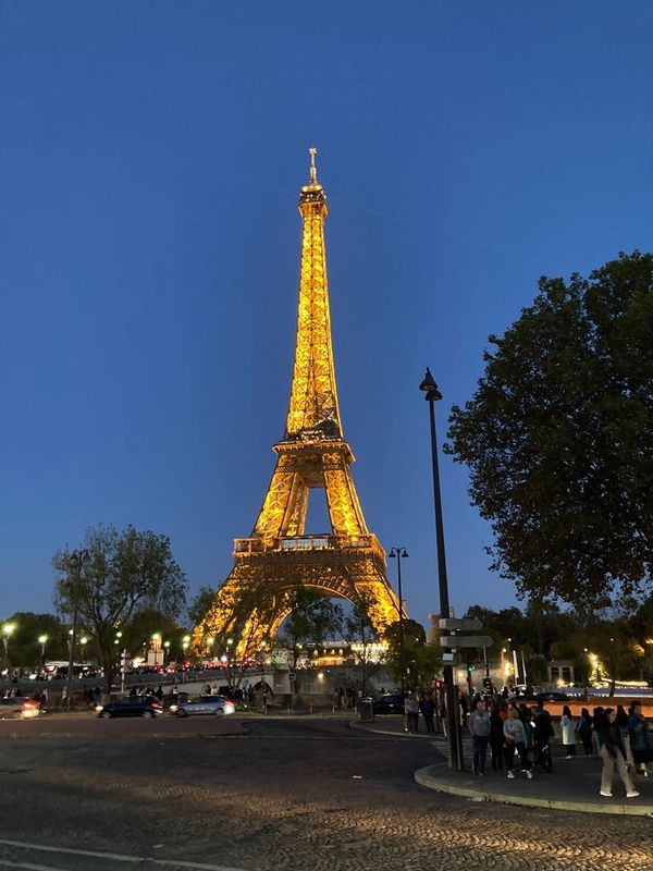 AI-Free 2023 Year in Review