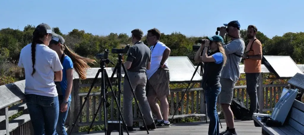 Birders use spotting scopes on a boardwalk during a guided walk at Cape May Bird Observatory, United States