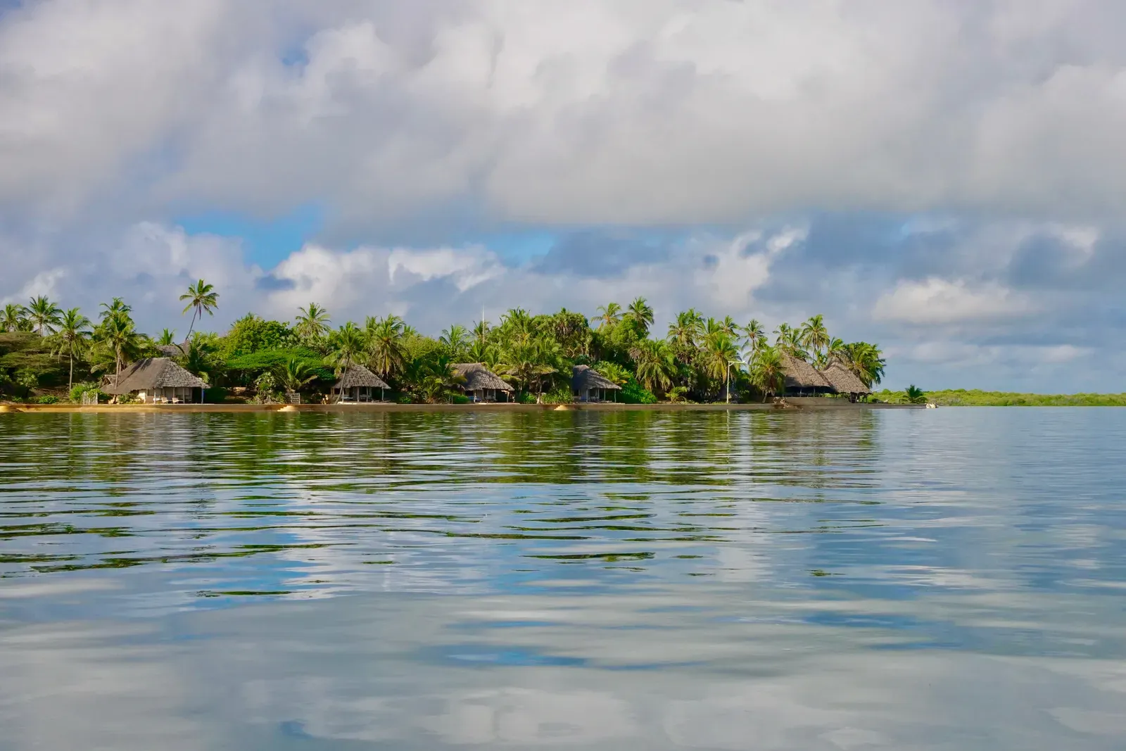 The stranded buffalo herd Manda Bay Lodge keeps alive on Manda Island, Kenya