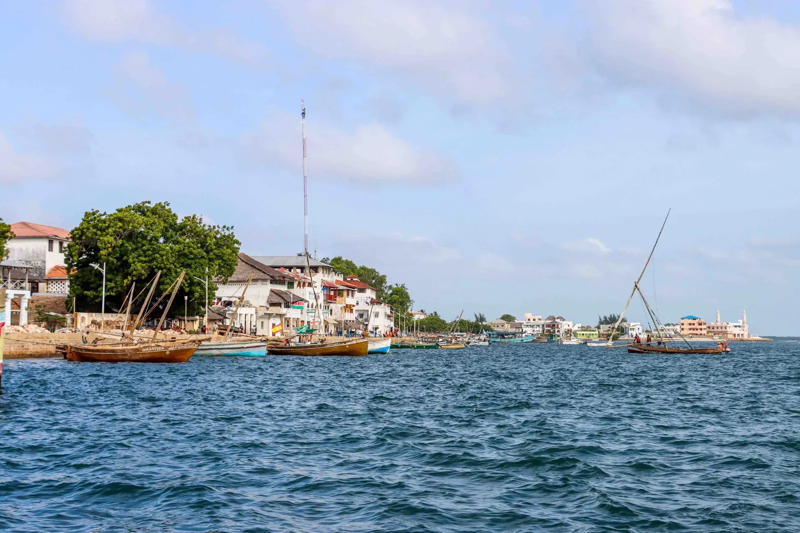 Snorkeling the restored reef off Manda Bay in Kenya’s Lamu Archipelago