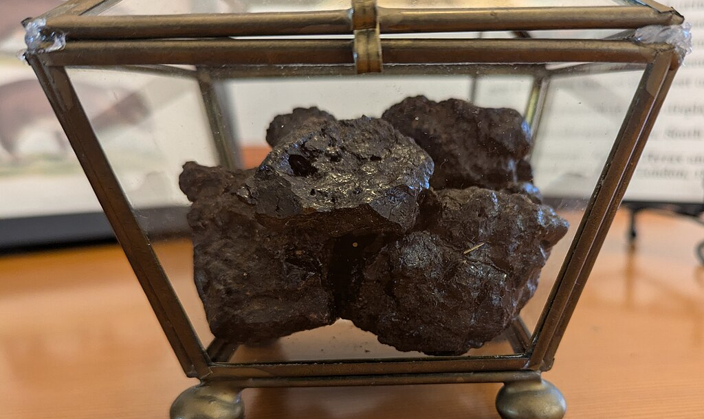 Thousand-year-old poop is a key ingredient in perfume