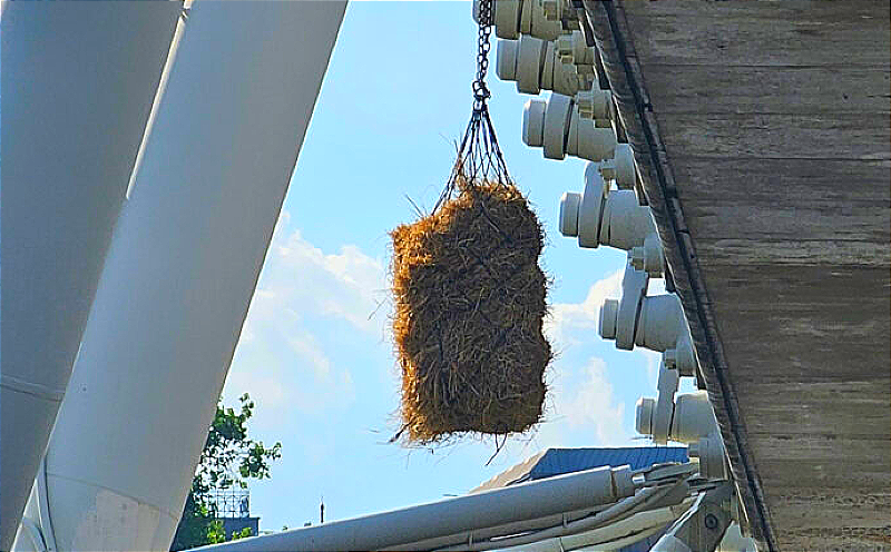 An ancient law is behind the hay bale hanging from a UK bridge