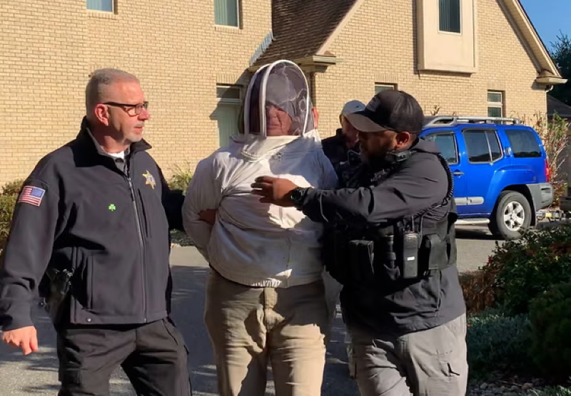 Beekeeper jailed for opening the hives to protect a neighbor