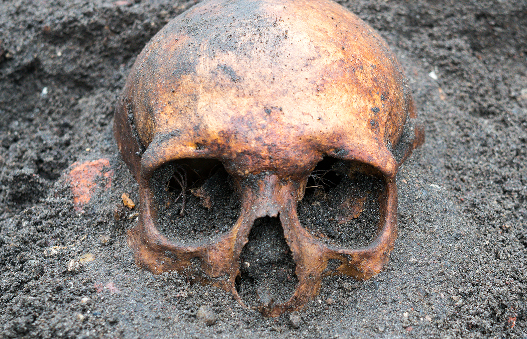 Ancient DNA finally solves a 16th-century murder mystery