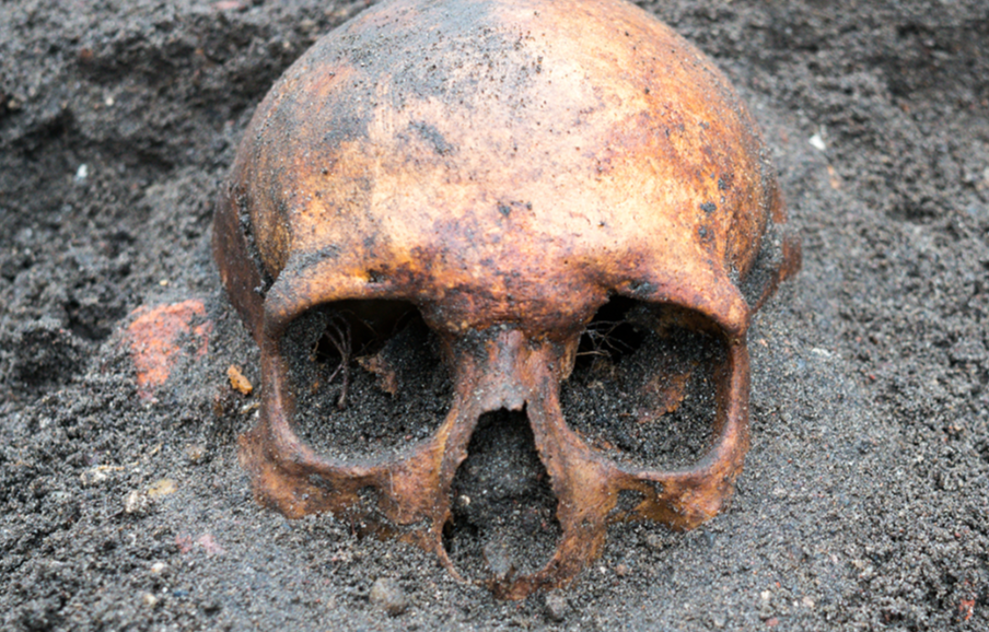 Ancient DNA finally solves a 16th-century murder mystery