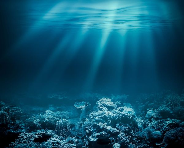 Scientists found microbes six kilometres under the sea