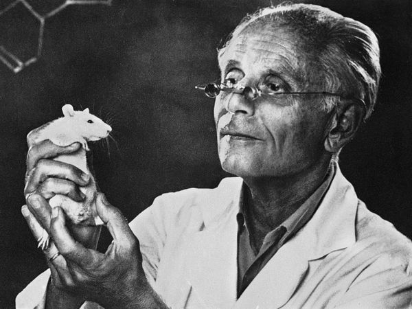 The secret history behind the science of stress