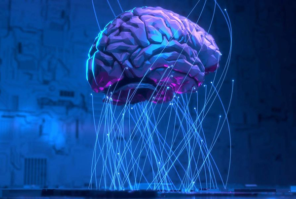 The daughter of a NYT critic visits her dead father's brain