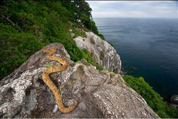 Only scientists and the military can visit this tiny Brazilian island