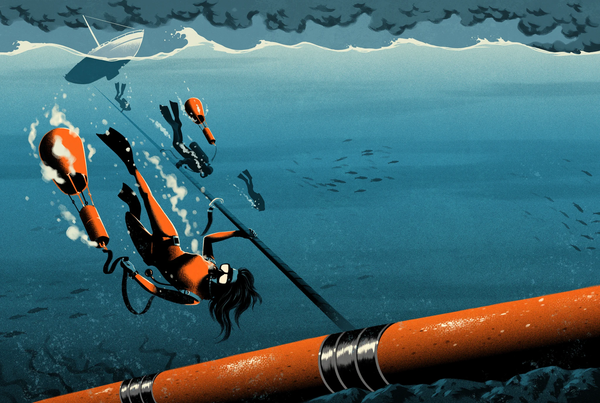 How a former erotic model blew up the Nord Stream pipeline