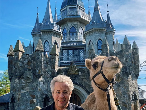 An eccentric millionaire, a fake castle and 101 princesses