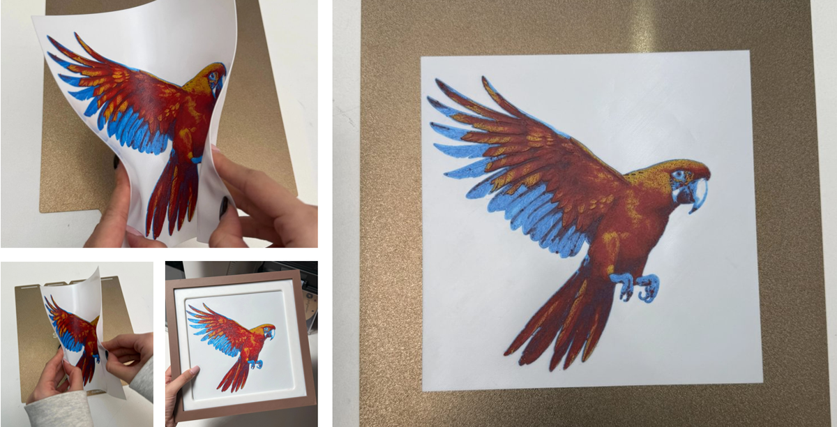 A collage showing a flexible multi-color TPU parrot print being bent by hand, resting on a textured PEI plate, and displayed in a frame.