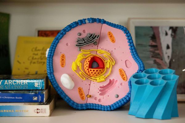 A multi-color 3D-printed biological cell model displaying distinct organelles, showcasing how advanced extrusion systems create detailed visual educational aids for classroom science labs.