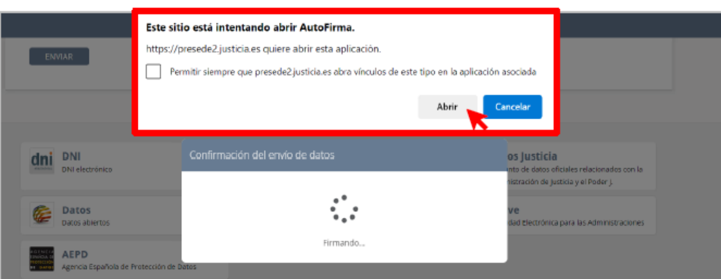 Captura 6: guía para solicitar el acceso al RCTIR