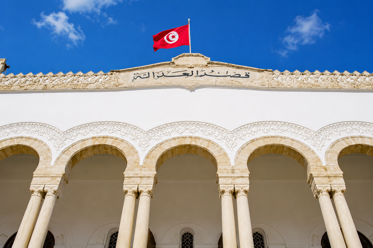 Tunis court hands down 18-year terms in international coral-trafficking case